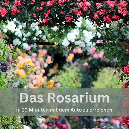 Loft94 Wilhelmshaven